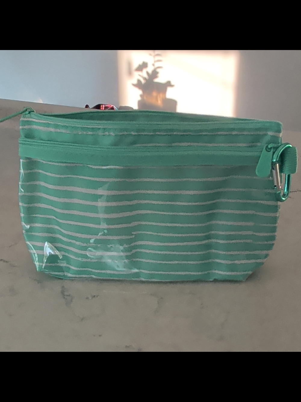 thirty-one Mint Green Striped Clear Cosmetic Pouch
